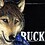 HuskyInDenial